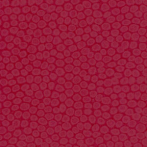0571 Rosso Oriente Scale